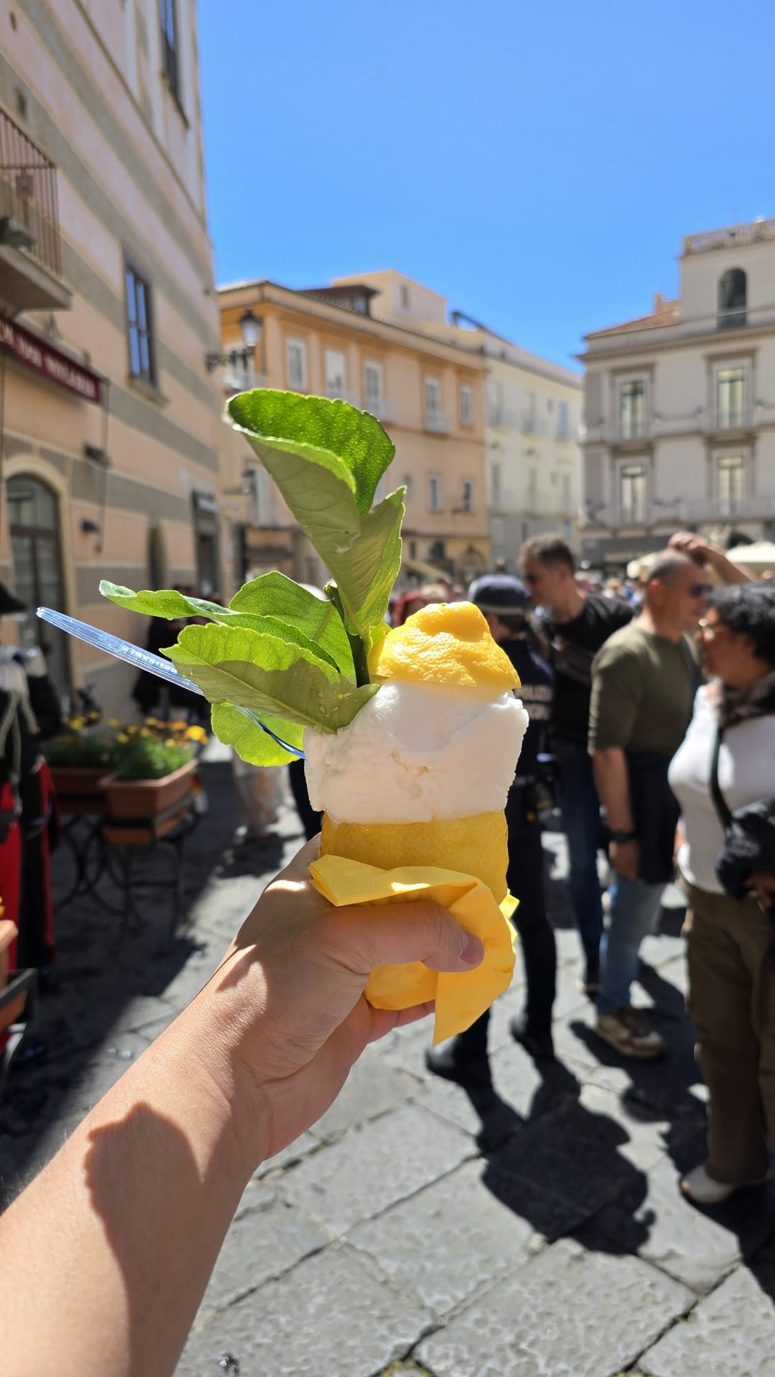 A cup of bright yellow Italian lemon sorbet served in a hollowed lemon — a classic Roman summer dessert