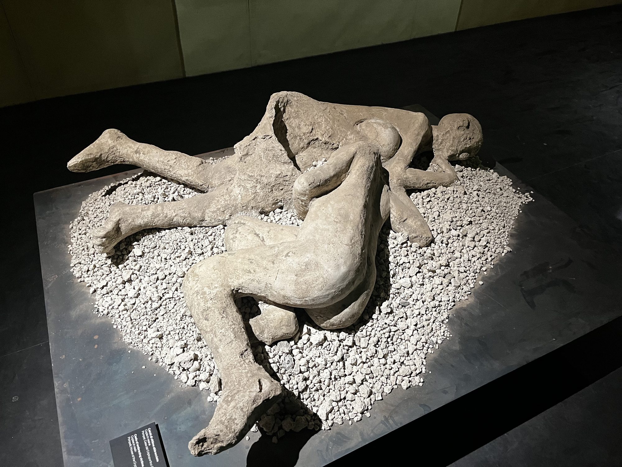 The plaster cast victims of Pompeii in the museum — two figures preserved in their final moments, surrounded by ash and pumice